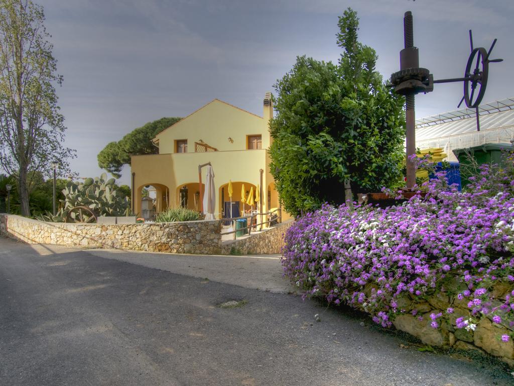 Agriturismo Ca' Di Trincia 皮特拉利古 外观 照片