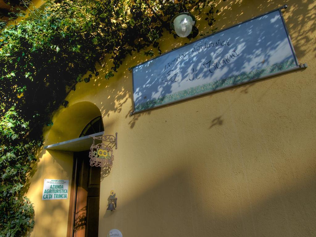 Agriturismo Ca' Di Trincia 皮特拉利古 外观 照片
